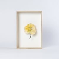 artificial flowers