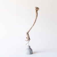 alien_A