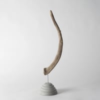 horn_B