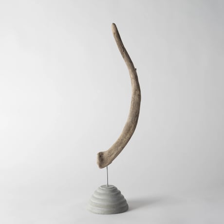 horn_B