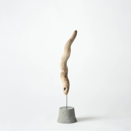 horn_A