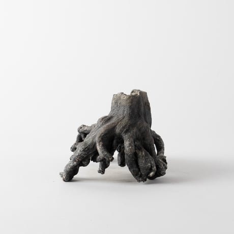 ceramic root