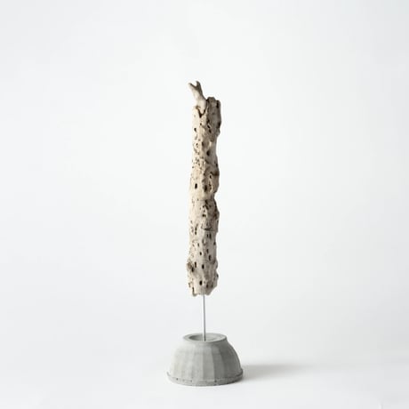 coral_E