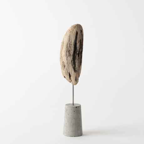 sunflower seed_B