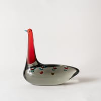 crimson-necked bird