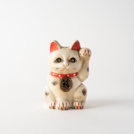 crystal eyes cat