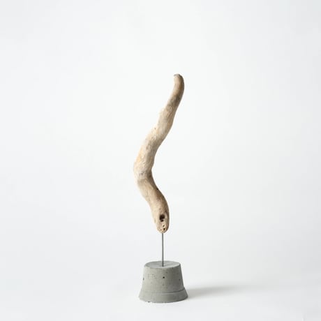 horn_A