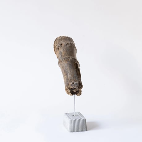 moth larvae