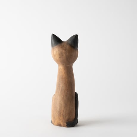 round eyes cat