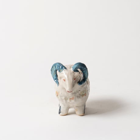 blue horn sheep