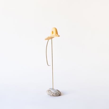 deep-sea duck