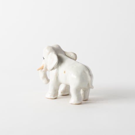gentle-eyed elephant