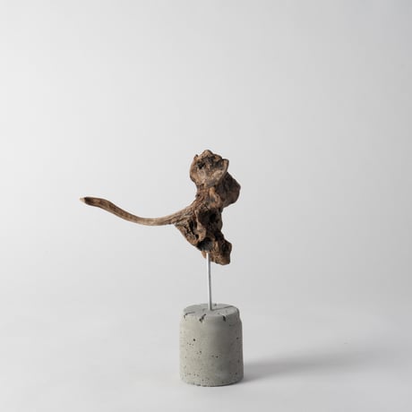 ostrich_B