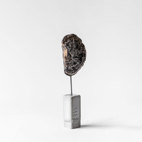fossil