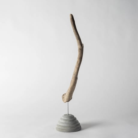 horn_B