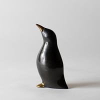 golden beak penguin