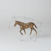 horse