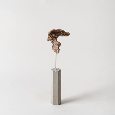 emu
