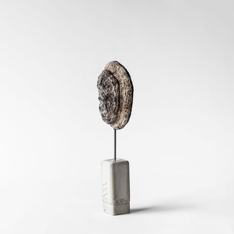 fossil