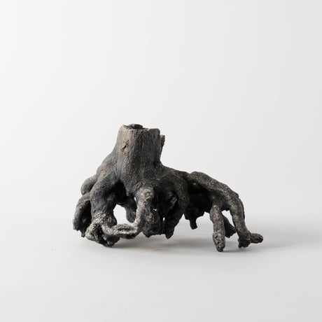ceramic root