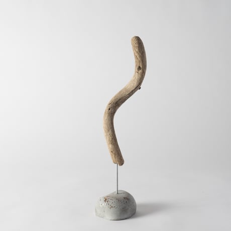 tail