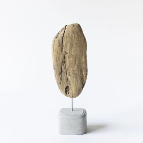 sunflower seed_A
