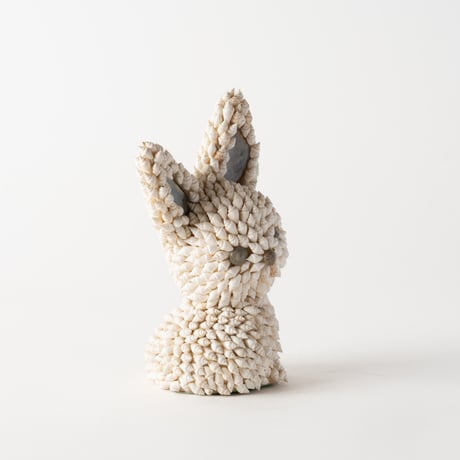 shell rabbit
