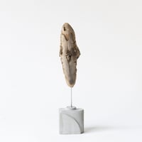 human_A