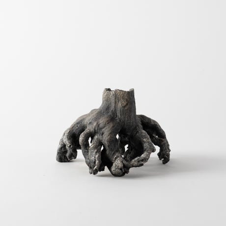 ceramic root