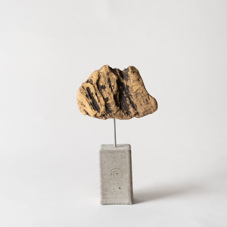spalted_B