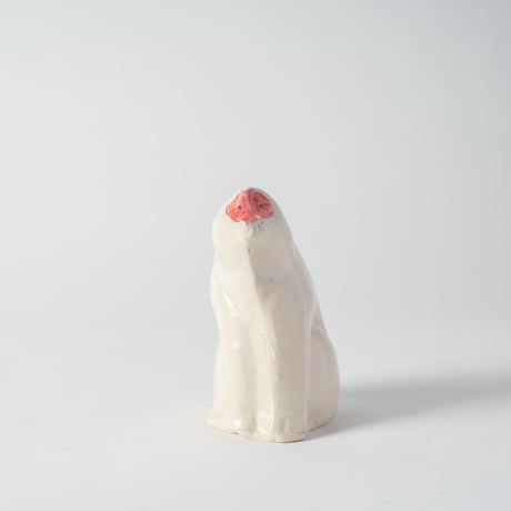 red-faced monkey