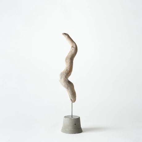 horn_A