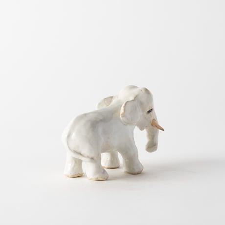 gentle-eyed elephant