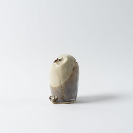 owl-like vulture