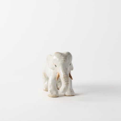 gentle-eyed elephant