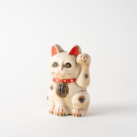 crystal eyes cat