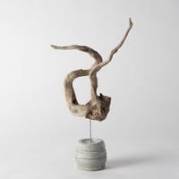 tendril