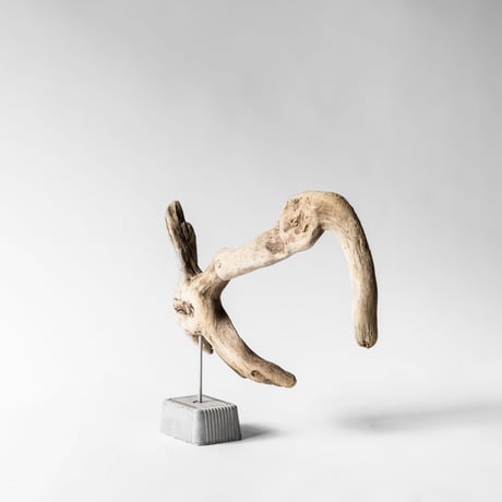 pelican