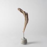 feather