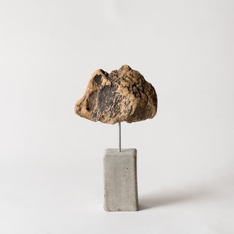 spalted_B