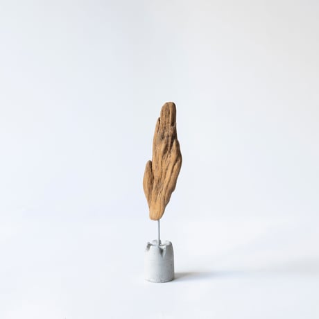 torch_A