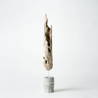 torch_B