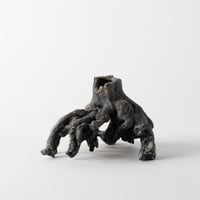 ceramic root