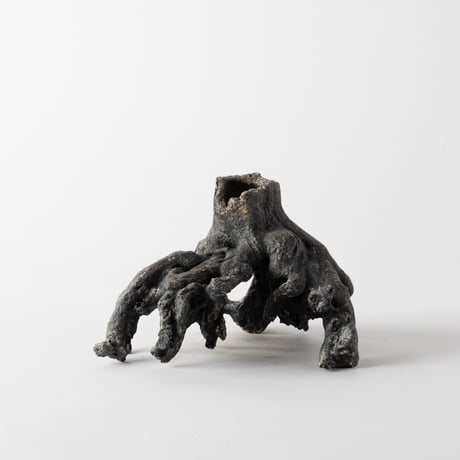 ceramic root