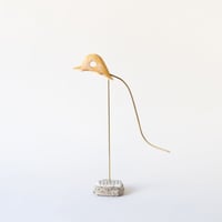 deep-sea duck