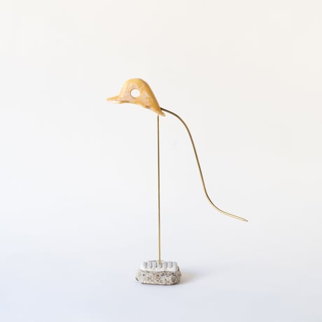 deep-sea duck