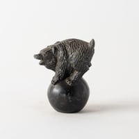 circus bear