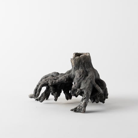 ceramic root