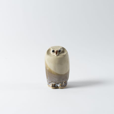 owl-like vulture