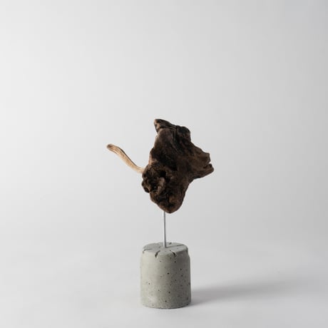 ostrich_B